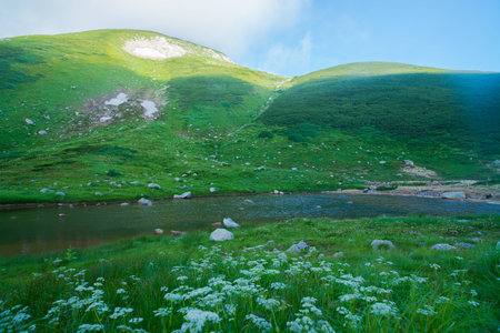 Japan Alpsの写真素材