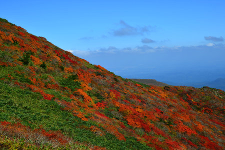 fallscape of mountainの写真素材