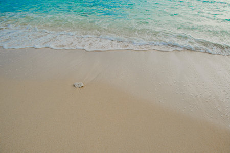 okinawa beach