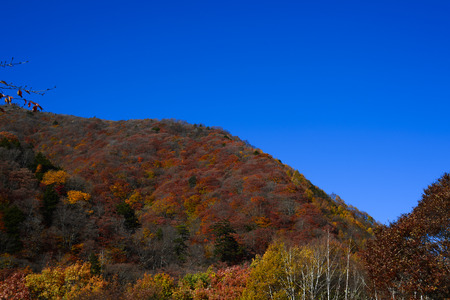autumn landscapeの写真素材