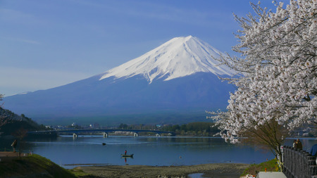 Cherry blossoms and Mount Fuji, Scenery too beauty in Japan.の写真素材