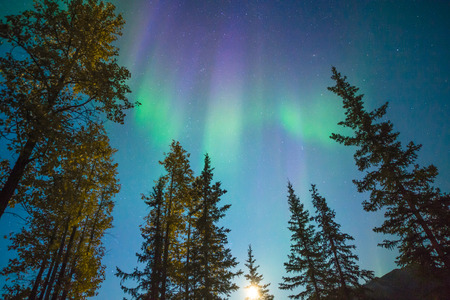 Aurora borealis in Brooks Rangeの写真素材