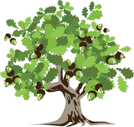 Big green oak tree illustration のイラスト素材