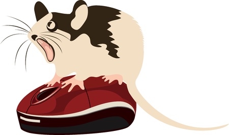 Mouse sitting on top of the computer mouse, vector illustrationのイラスト素材