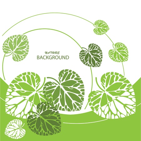 Green  leaves background, vector illustrationのイラスト素材