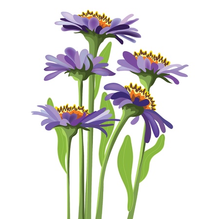  floral design, purple asterのイラスト素材