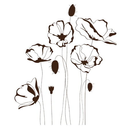 Poppy design, floral backgroundのイラスト素材