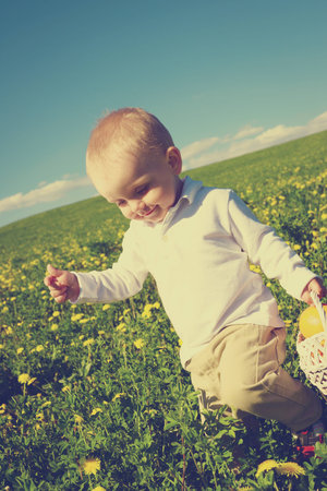 little boy child in summer picnic with basket of fruit outdoors