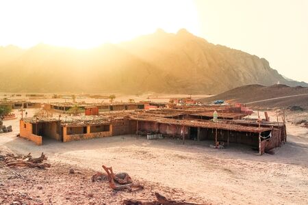 Camel trip in the Oriental desert Egypt near Safaga, Africaの写真素材