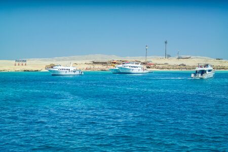 Trip for diving and snorkeling in Eygpt Red Sea Mahmya and Paradise Islandの写真素材