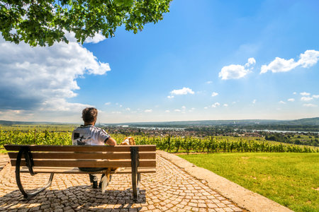View over Rheingau, Germany