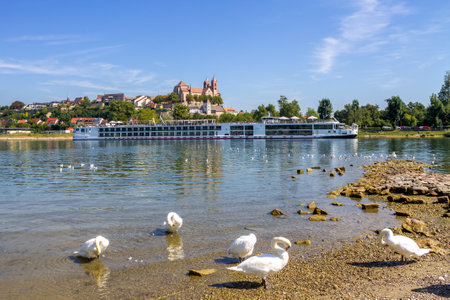 View of the city of Breisach am Rhein, Germanyのeditorial素材