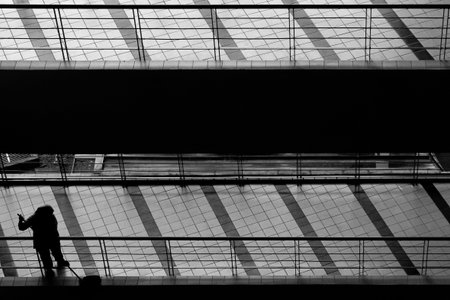 Janitor Silhouette on Black and White Interior Patterns