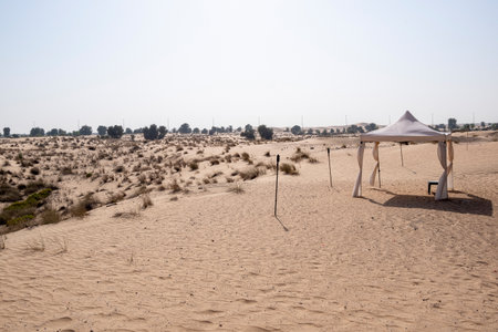 Empty quarter desert with wind patterns and sand hills, featuring a white canopy tent and palm trees in the distanceの写真素材