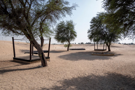 Desert landscape with scattered palm trees casting shadows on sandy ground, featuring simple wooden structures in a remote desert settingの写真素材