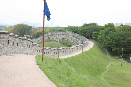 cattleの写真素材