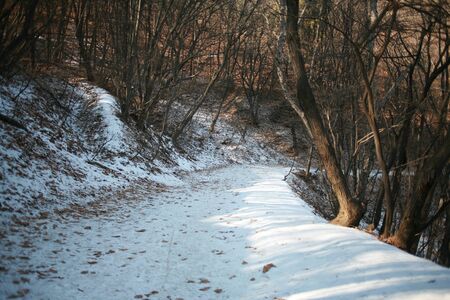 winter landscapeの写真素材