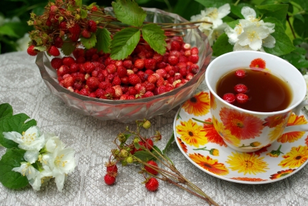 Wild strawberry in a beautiful plate on the natureの写真素材