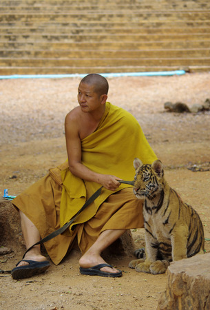 KANCHANABURI, THAILAND - January 10, 2015: Monk with tigers in Tiger Templeのeditorial素材