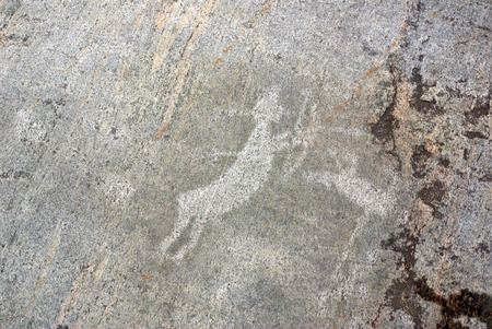 BELOMORSK, REPUBLIC OF KARELIA, RUSSIA - August, 2011: Pictures of ancient man - petroglyphs in Zalavrugaのeditorial素材