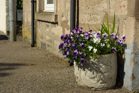 NAIRN, SCOTLAND - June, 2013: Street in Nairn, Scotland on a sunny summer dayのeditorial素材