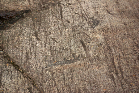 BELOMORSK, REPUBLIC OF KARELIA, RUSSIA - August, 2011: Pictures of ancient man - petroglyphs in Zalavrugaのeditorial素材