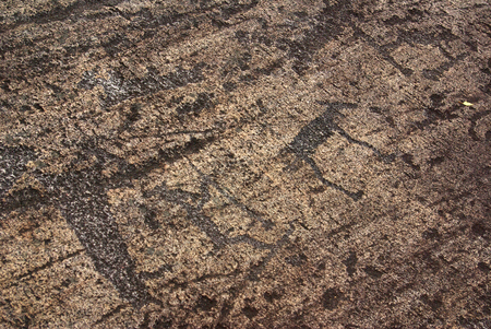 BELOMORSK, REPUBLIC OF KARELIA, RUSSIA - August, 2011: Pictures of ancient man - petroglyphs in Zalavrugaのeditorial素材