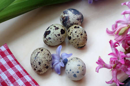Happy Easter. A colorful hyacinth and quail eggsの写真素材