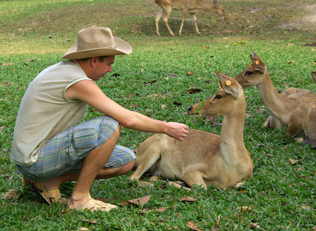 PATTAYA, THAILAND - January, 2013: Animal in Khao Kheow Open Zooのeditorial素材