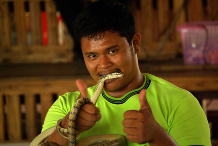 PATTAYA, THAILAND - January, 2013: "Show of snakes" performer play with a cobra during a showのeditorial素材