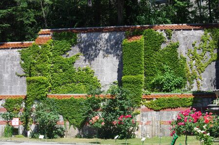 MASSANDRA, CRIMEA - June, 2018: The park on the territory of Massandra Palace in summer dayのeditorial素材