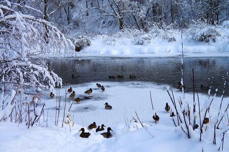 Winter landscape with river Yauza in Moscowのeditorial素材