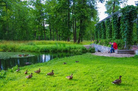 PETERGOF, RUSSIA - August, 2017: Alexandria Park in Peterhof, Russiaのeditorial素材