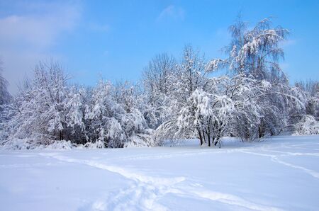 Winter landscapeのeditorial素材