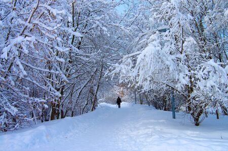 Winter landscapeのeditorial素材