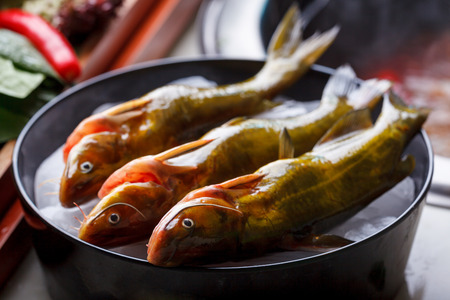 Fish, Chinese Hot pot dishesの写真素材
