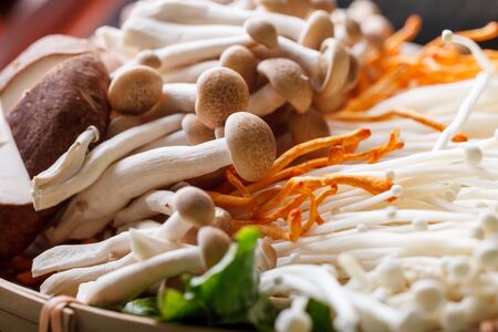Hot pot vegetables, tofu, China flavorの写真素材