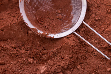 Cocoa powder, a stainless steel mesh