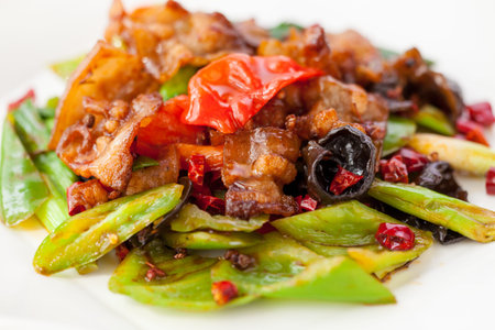 Chinese dishes: fried pork slices and vegetablesの写真素材