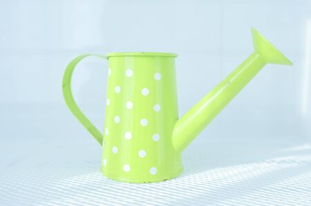 green watering canの写真素材