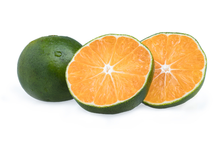 Citrus Fruitの写真素材