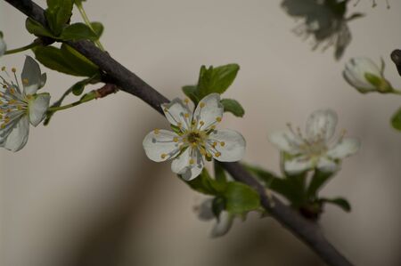 spring shadesの写真素材