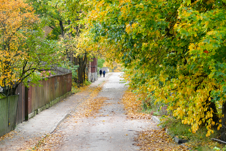 Autumn cobblestone street view.の写真素材