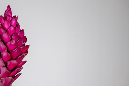 Beautiful tropical red ginger (Alpinia purpurat) flower on isolate white background.の写真素材