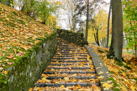 Old stairs with autumn leaves in the city park.の写真素材