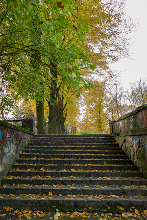 Old stairs with autumn leaves in the city park.の写真素材