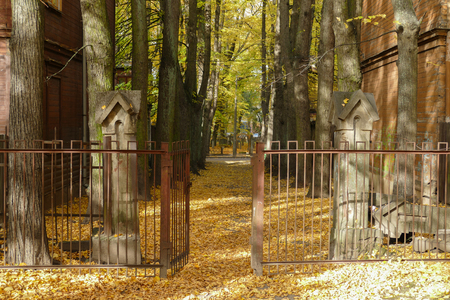 Path in the beautiful autumn park. Alley with trees.の写真素材