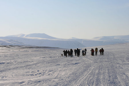 people crossing snow, Svalbard Norway