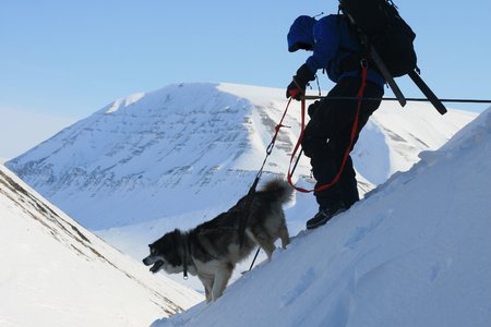 person and dog on snow, Svalbard Norwayの写真素材