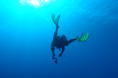 Diving in Puerto Ricoの写真素材